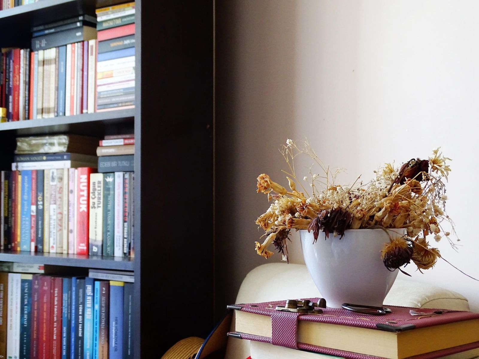 Jak zařídit domácí knihovnu?