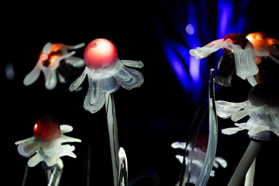 Křišťálová zahrada v Troji znovu ožívá: skleněné instalace rozšiřují zimní expozici