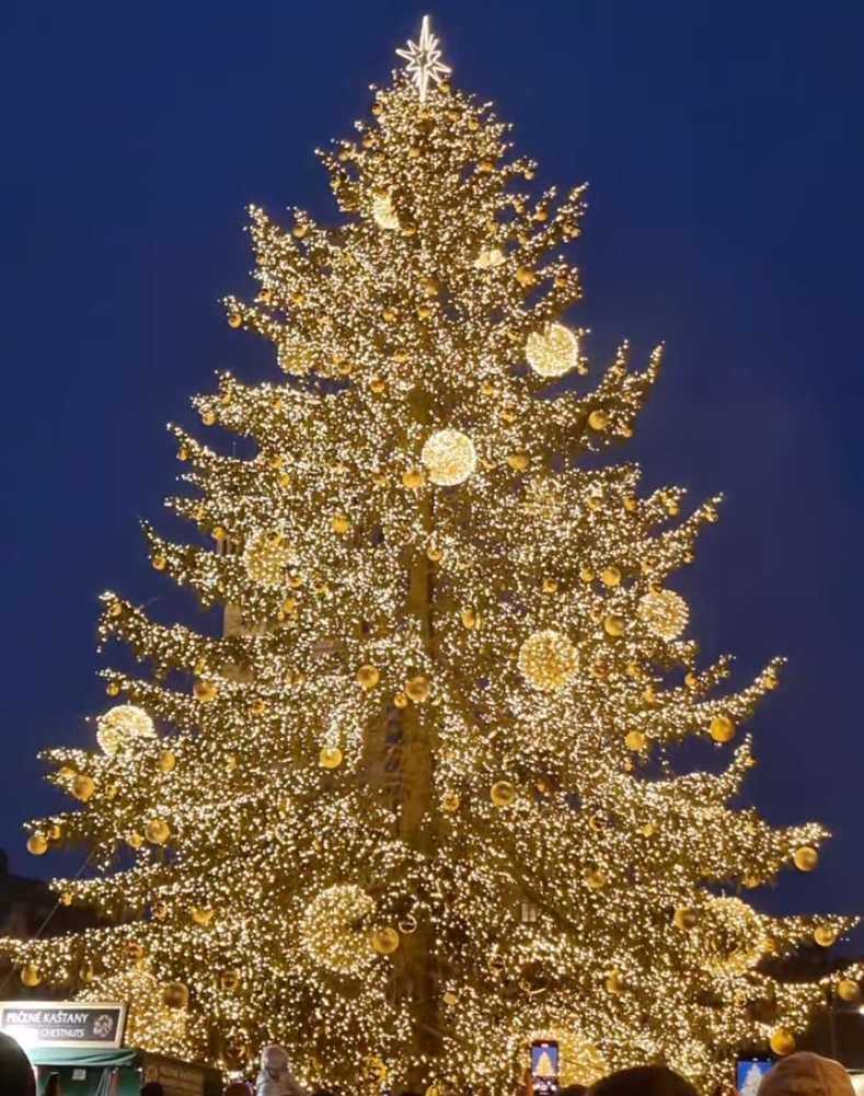 Praha rozsvítila vánoční strom na Staroměstském náměstí: Začaly trhy a slavnostní show