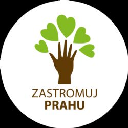 Adoptujte si strom. Hlavní město zve Pražany ke společné péči o městské stromy