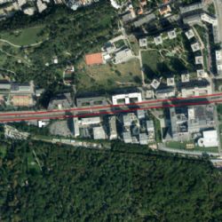 Další pražská ulice se dočká proměny. Praha vypracuje studii revitalizace Olšanské