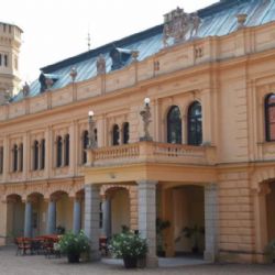 Domov v Odlochovicích bude mít bezpečnější požární signalizaci, Praha schválila investici na jeho vylepšení