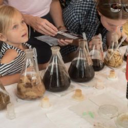 Druhý ročník Science festivalu v pražské Gutovce představí zábavnou vědu