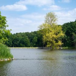 Hlasování pro nejsympatičtější projekt soutěže Adapterra Awards začíná