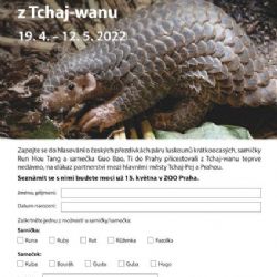 Hlasovat o českých přezdívkách páru luskounů krátkoocasých z Tchaj-wanu je od dnešního dne možné přímo na Portálu Pražana