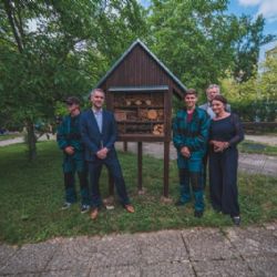 Hlavní město předalo domovům pro seniory hmyzí hotel a knihobudky vyrobené z vánočního stromu