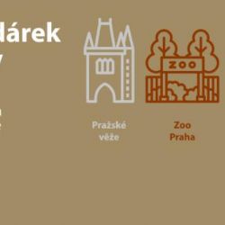 Hlavní město připravilo Pražanům novoroční dárek v podobě zvýhodněného vstupného do zoo, botanické zahrady, Muzea MHD nebo do historických věží