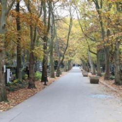 Hřbitovy ve správě hlavního města budou v období dušiček otevřeny do 18:00 hodin, od 3. listopadu pouze do 17:00 hodin