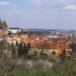 Letiště Praha, CzechTourism a Prague City Tourism podpoří obnovu cestovního ruchu