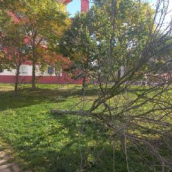 Na území Prahy je velmi silný vítr