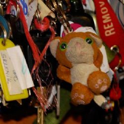 Počty nálezů ztracených věcí v Praze se zvyšují. Za osm měsíců letošního roku jich je téměř tolik, co za celý loňský rok