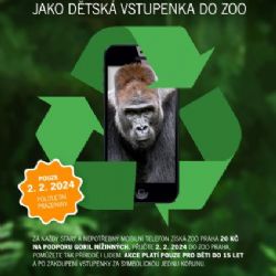 Pololetní prázdniny v Praze: Starý mobil jako dětská vstupenka do zoo pomůže i gorilám
