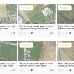 Praha hledá pachtýře pro svou zemědělskou půdu. Podmínkou je ekologické hospodaření