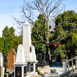 Praha má nová Pravidla pro nakládání s hrobovými místy na Vyšehradském hřbitově. O jejich přidělování bude rozhodovat pracovní skupina