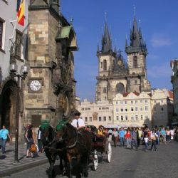 Praha nebude od roku 2023 podporovat koňské povozy na Staroměstském náměstí a ve Stromovce