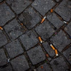 Praha podepíše smlouvu se společností NEVAJGLUJ, hlavní město tím získá 16 milionů korun na úklid tabákových nedopalků