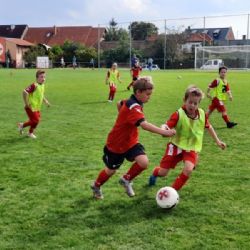 Praha poskytne dotace na podporu sportu pro rok 2024 ve výši téměř půl miliardy korun