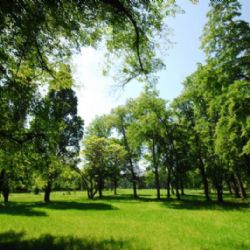 Praha vyhradí pro příští rok 44 milionů korun na projekty ke zlepšení stavu životního prostředí