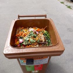 Pražané stále lépe třídí bioodpad. Často ale do popelnic vyhazují i nesprávné suroviny včetně sáčků