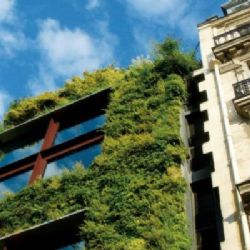 Pražské zastupitelstvo dalo Klimatickému plánu zelenou