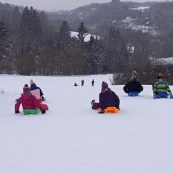 Sáňkování a bobování je v Praze povoleno. Pražská příroda je v těchto dnech skvělé místo pro sport a zimní radovánky