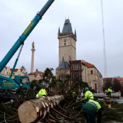 Staroměstské náměstí zdobil šest týdnů, teď najde další využití. Větve z vánočního stromu udělají radost v zoo, kmen zpracují středoškoláci