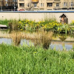 Startuje již šestý ročník soutěže Adapterra Awards. Ocenění získá i projekt z Prahy