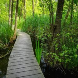 Tři projekty ke zlepšení životního prostředí na území Prahy postupují do finále celostátní soutěže Adapterra Awards