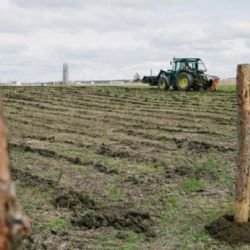 U Lítožnice vzniká nový les