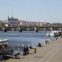 Už v sobotu se budou konat na náplavce první farmářské trhy sezóny