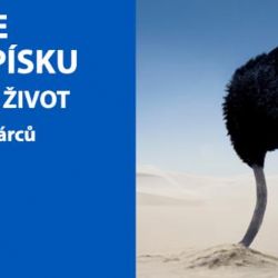 V rámci oslav Světového dne dárců kostní dřeně se v Zoo Praha budou moci do registru hlásit noví zájemci