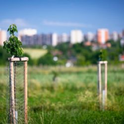 Víte, jak na klima? Přihlaste svůj nápad do soutěže Adapterra Awards