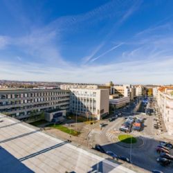 Z parku do parku. Architektonická soutěž navrhne reprezentativní prostor mezi Stromovkou a Letnou