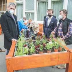 Z vzrostlého vánočního smrku se staly lavičky a záhony pro domov seniorů