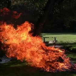 Zákaz rozdělávání ohňů na rizikových místech v Praze byl prodloužen