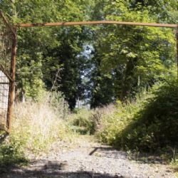 Zaniklý bubenečský hřbitov Na Skalce čeká obnova