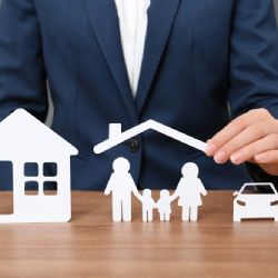 Pojistka na blbost aneb Příběhy českých chalupářů se šťastným koncem