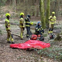 Hasiči z Říčan trénovali hašení lesních požárů v Černých Voděradech