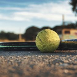 Sport jako umění: Výstava spojila mistry a mladé talenty