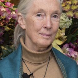 Goodallová pokřtila knihu a gorilí mládě Gaia v pražské zoo