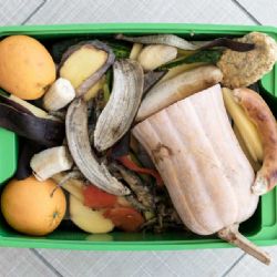 Pražané ročně vyhodí 26 kg jídla: Nenechme plýtvat jídlem!