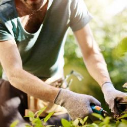 Pražské zahrádky: Tradiční oázy pod tlakem developerů