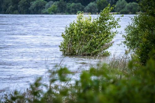 Foto: Naděje po povodních: 175 milionů pomoci zamířilo na Opavsko