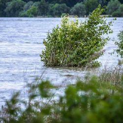 Naděje po povodních: 175 milionů pomoci zamířilo na Opavsko