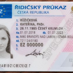 Až 225 tisíc řidičů a řidiček by si do konce roku mělo vyměnit svůj řidičský průkaz