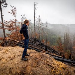 Bartoš: Plníme slib a pomůžeme podnikatelům ve zpustošeném Českém Švýcarsku