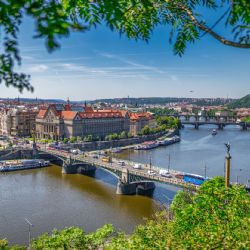 DPP spolu s výzkumníky testuje nové unikátní směsi rostlin pro stálezelené tramvajové pásy i extrémní podmínky