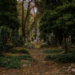 Hřbitov jako veřejný prostor. Praha dokončuje manuál, jak pracovat se hřbitovem jako nedílnou součástí města