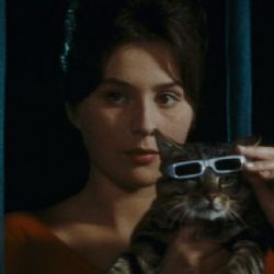 Kocour jede do Cannes. Prestižní festival uvede snímek Až přijde kocour