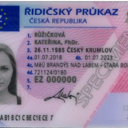 Letos skončí platnost 400 tisícům řidičských průkazů, o výměnu lze žádat i on-line